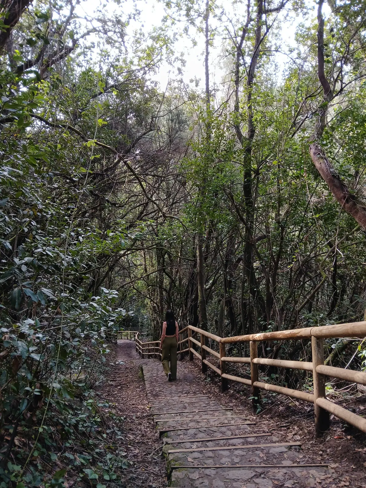 Icíar baja por una escalera de piedra y madera entre árboles